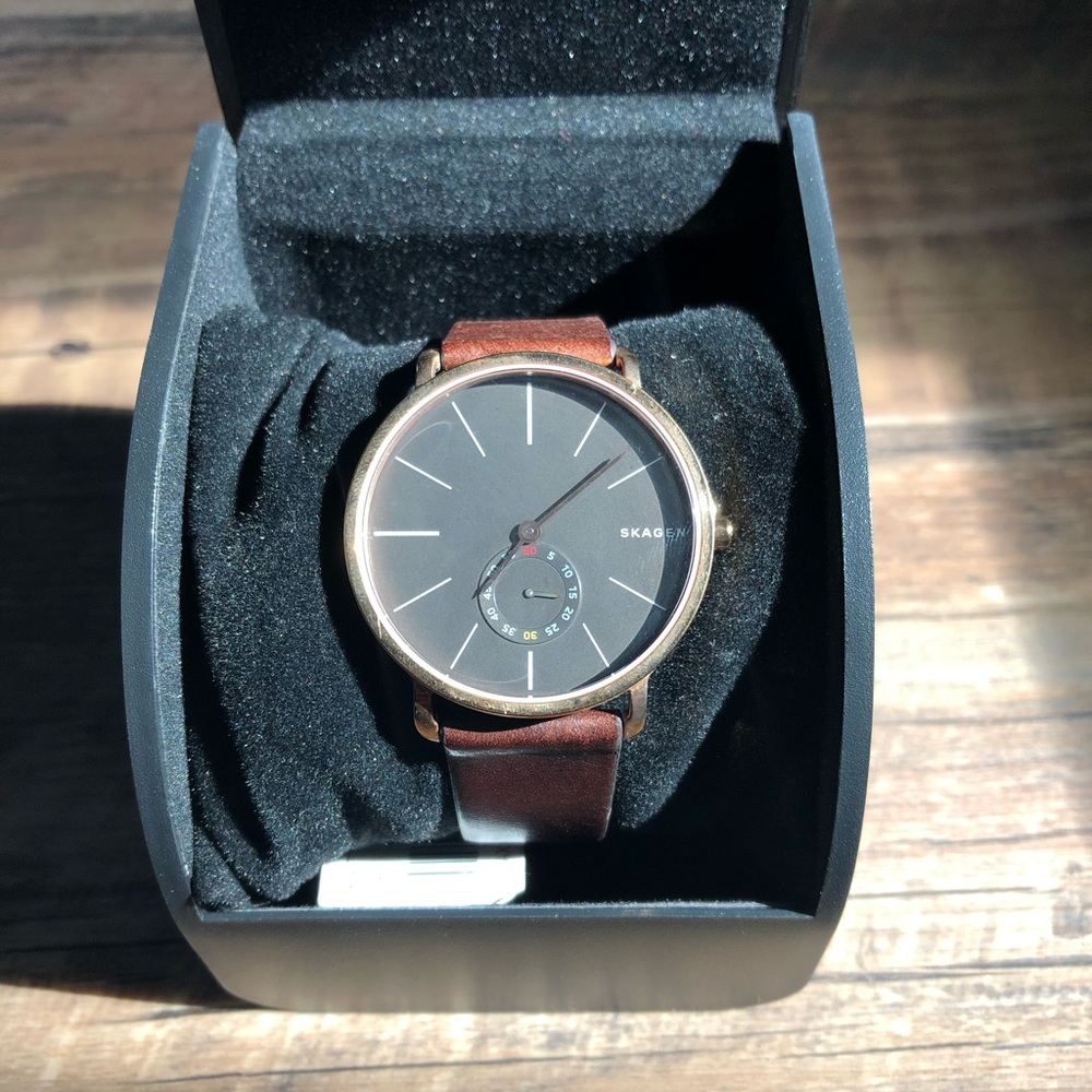 Skagen Watch